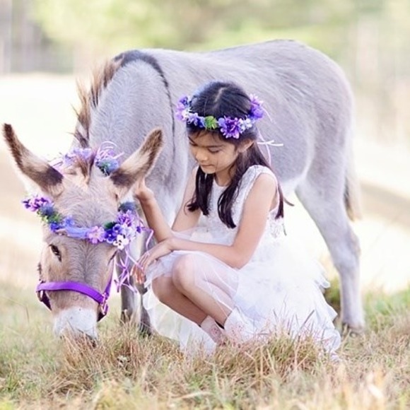 Meet your Posher, Nancy - Picture 1 of 1